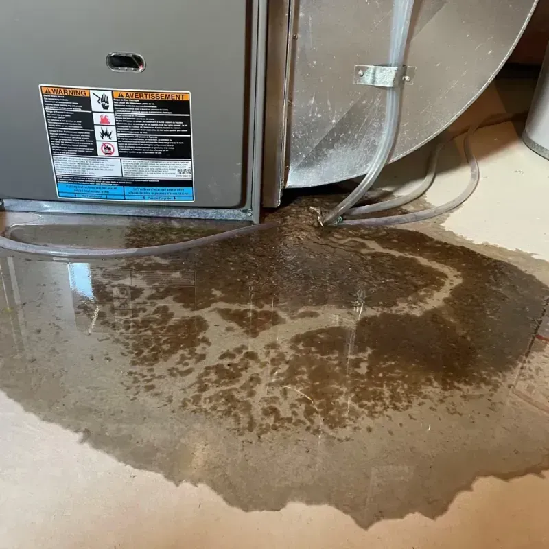 Appliance Leak Cleanup in Normandy Park, WA